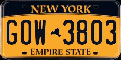 NY license plate GOW3803
