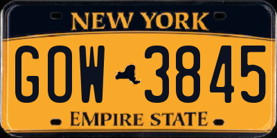 NY license plate GOW3845