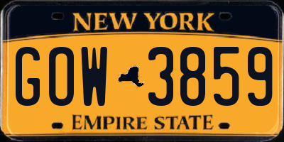 NY license plate GOW3859