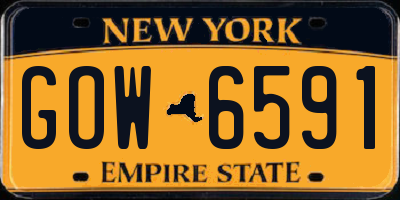 NY license plate GOW6591