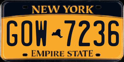 NY license plate GOW7236