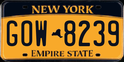 NY license plate GOW8239