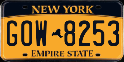 NY license plate GOW8253