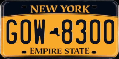 NY license plate GOW8300