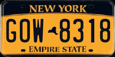 NY license plate GOW8318