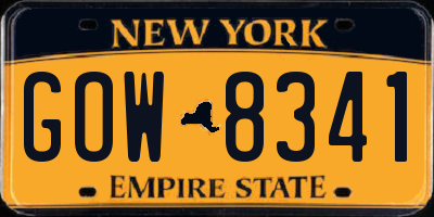 NY license plate GOW8341