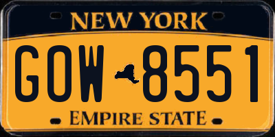 NY license plate GOW8551