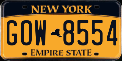 NY license plate GOW8554