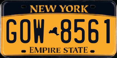 NY license plate GOW8561