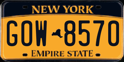NY license plate GOW8570