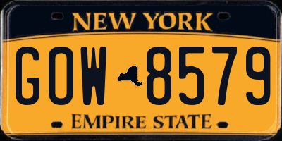 NY license plate GOW8579