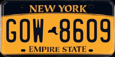 NY license plate GOW8609