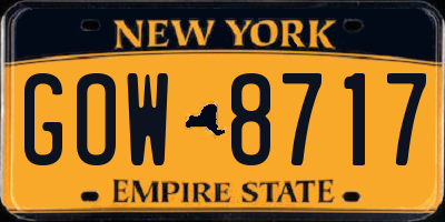 NY license plate GOW8717