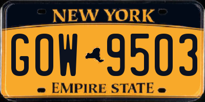 NY license plate GOW9503
