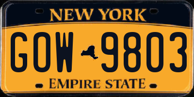 NY license plate GOW9803