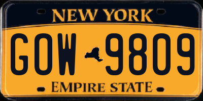NY license plate GOW9809