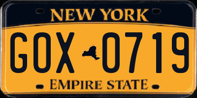 NY license plate GOX0719