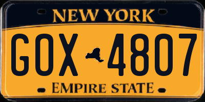 NY license plate GOX4807