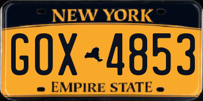 NY license plate GOX4853
