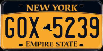 NY license plate GOX5239