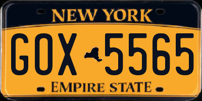 NY license plate GOX5565