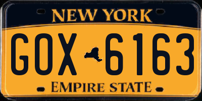 NY license plate GOX6163