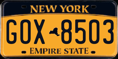 NY license plate GOX8503