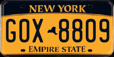 NY license plate GOX8809