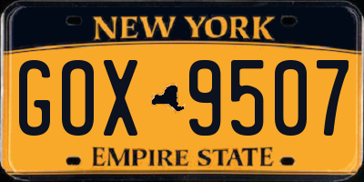 NY license plate GOX9507
