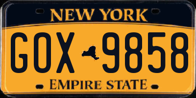 NY license plate GOX9858