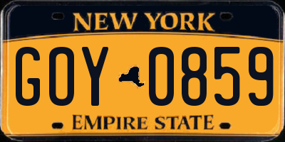 NY license plate GOY0859