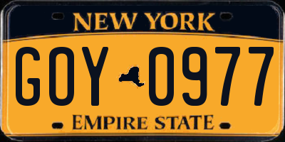 NY license plate GOY0977