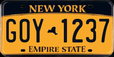 NY license plate GOY1237