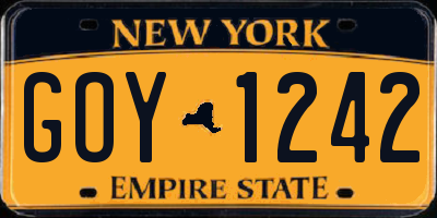 NY license plate GOY1242