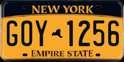 NY license plate GOY1256