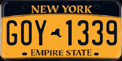 NY license plate GOY1339