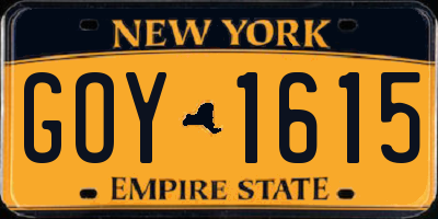 NY license plate GOY1615