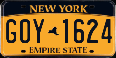 NY license plate GOY1624