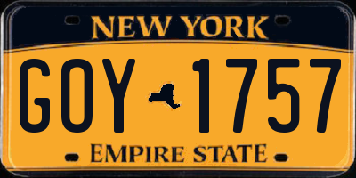 NY license plate GOY1757