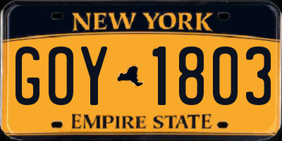 NY license plate GOY1803