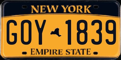 NY license plate GOY1839