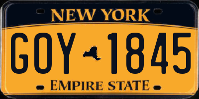NY license plate GOY1845