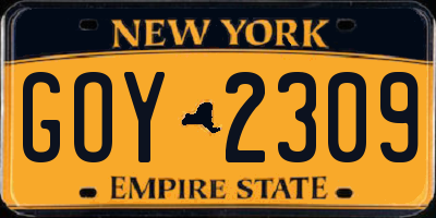 NY license plate GOY2309
