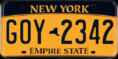 NY license plate GOY2342