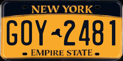 NY license plate GOY2481