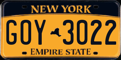 NY license plate GOY3022