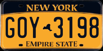 NY license plate GOY3198