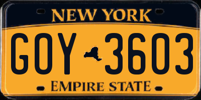NY license plate GOY3603