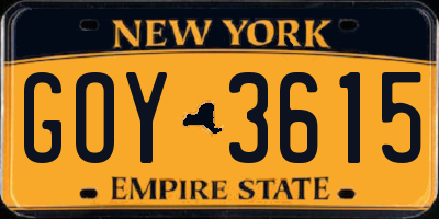NY license plate GOY3615