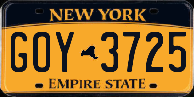 NY license plate GOY3725